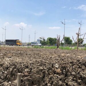 BÁN ĐẤT 4HA MẶT TIỀN ĐƯỜNG VÕ TRẦN CHÍ – TÂN NHỰT, BÌNH CHÁNH, TP.HCM