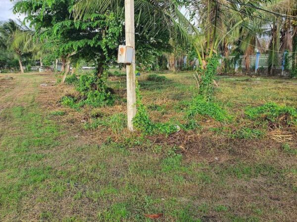 CHUYỂN NHƯỢNG 17200M2 DỰ ÁN TRẠM DỪNG CHÂN – CÂY XĂNG & KHU NGHỈ DƯỠNG SINH THÁI